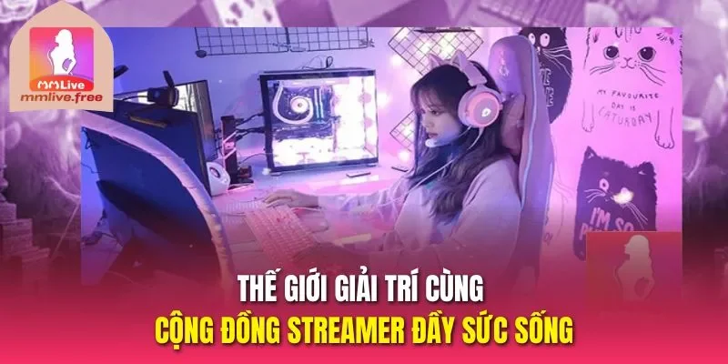 Thế giới giải trí cùng cộng đồng Streamer đầy sức sống