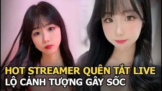 Streamer Addie Lynn Là Ai?